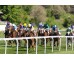  Carrera: P.Maracay Monta: G. Arguinzones Caballo: Earthview